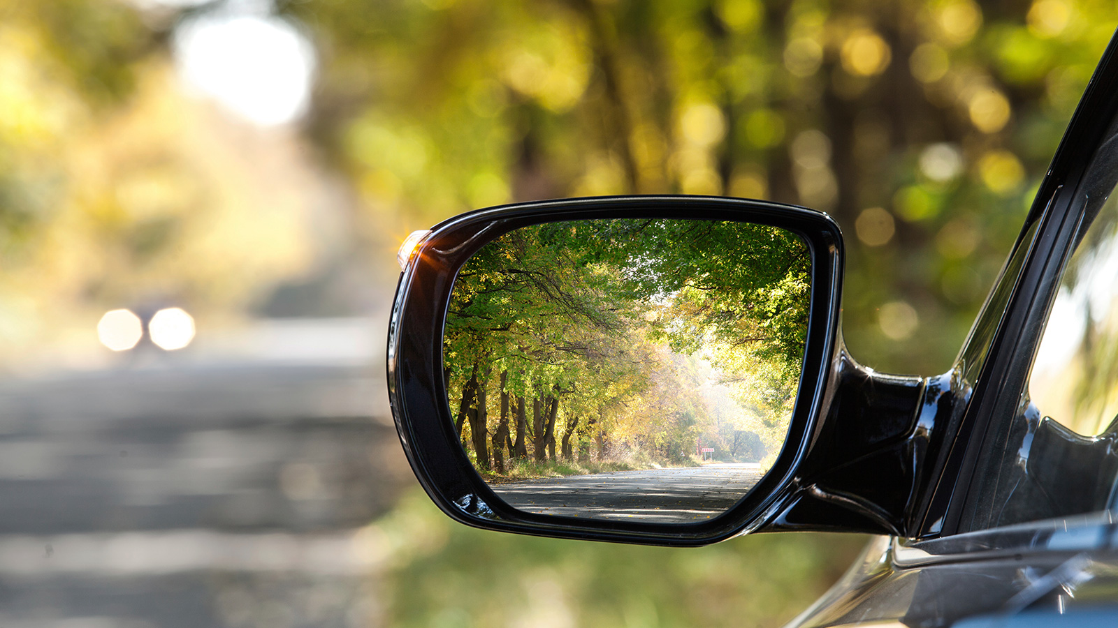 View behind card in left door mirror while driving down tree –lined road.